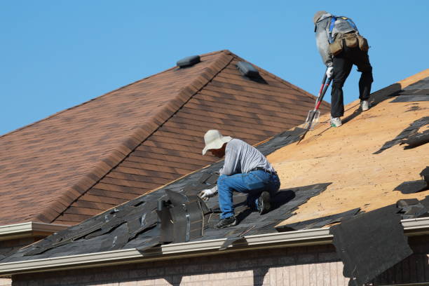 Best Roof Coating and Sealing  in Weedpatch, CA